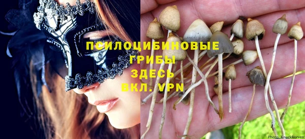 стафф Алексеевка