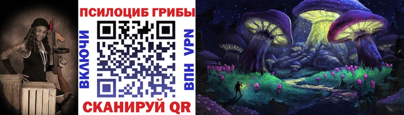 Псилоцибиновые грибы мицелий  mega онион  Сорочинск 